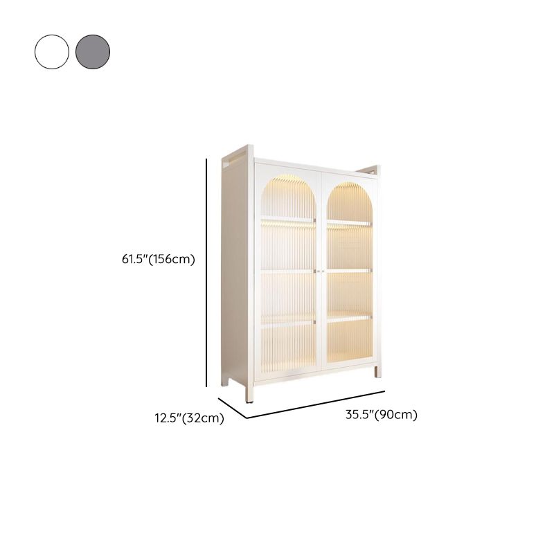 Vertical Steel Shelf Organizer with 6 Shelves and Lucite Door, Closed Back