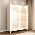 Vertical Steel Shelf Organizer with 6 Shelves and Lucite Door, Closed Back