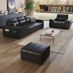 Standard Sofa/Loveseat in Black with Arm and 3 Pillows