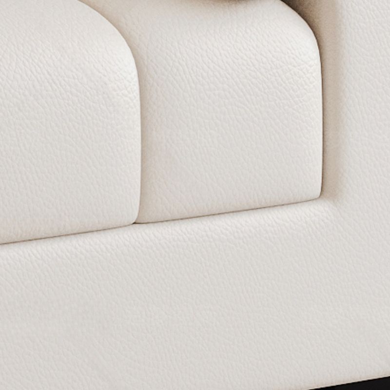 Beige Standard Sofa/Loveseat with Arm and 3 Pillows