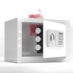 Steel Security Safe with Battery, Pry Resistant, Lockable with Keys