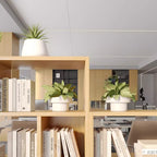 Natural Finish Casual Laminate Office Console Cabinet with Water-resistant Durability, Shelf Unit, 2 Doors, and 2-Wide Compartments