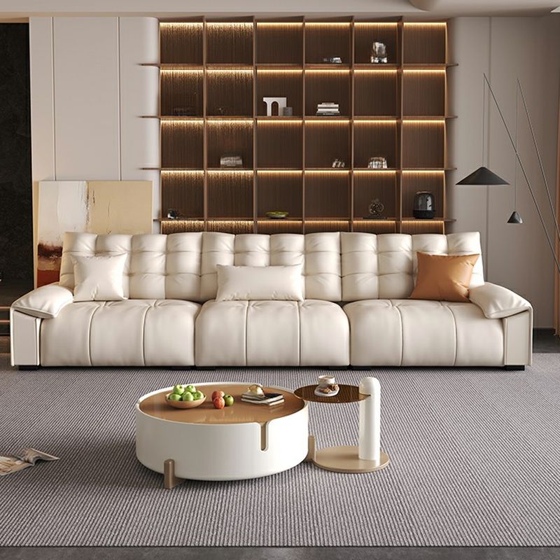 Modish Solid Color Stain Resistant Standard Sofa/Single Sofa in Beige with Pillow Top Arm and 2 Pillows/1 Pillow, Available in 4-seater/3-seater/6-Seater