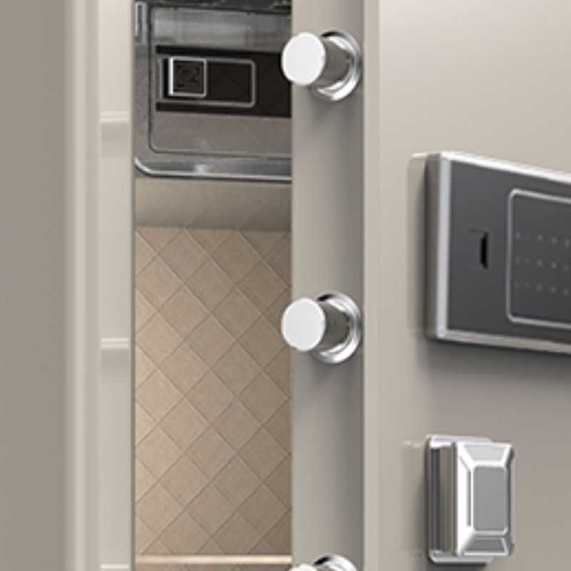 Steel Security Safe with Battery, Pry Resistant, Lockable, Keys, Interior, and Shelves