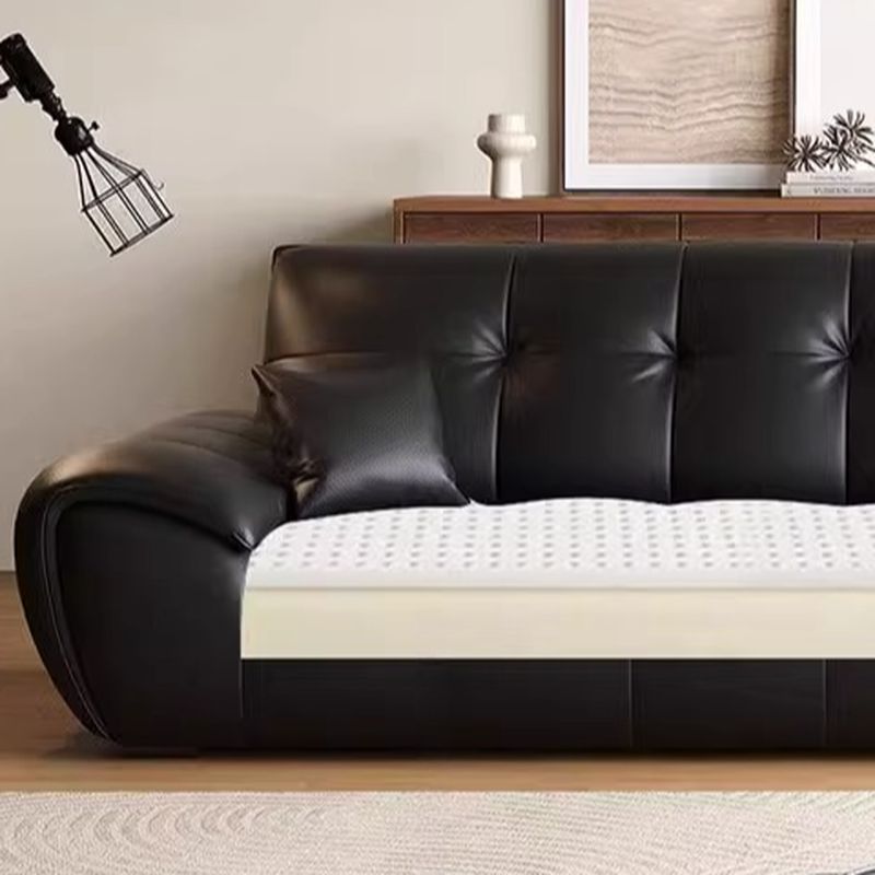 Contemporary Modern Solid Color Scratch-durable Standard/Single Sofa in Midnight Black, Seats 4/3 with 2 Pillows