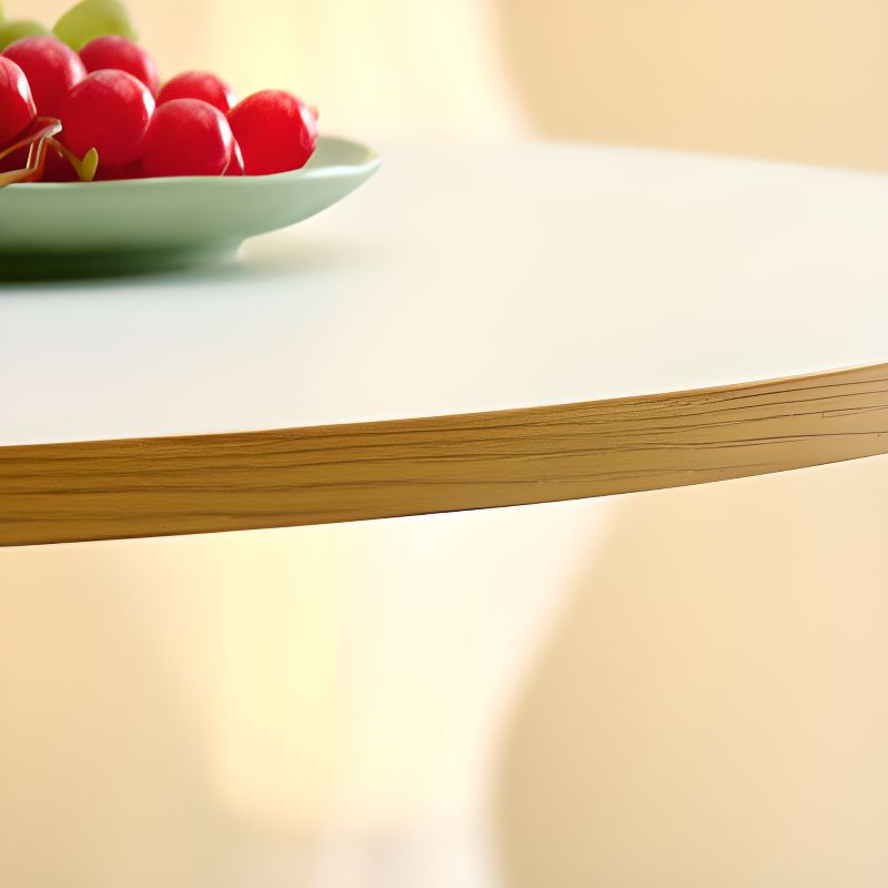 Silver Pedestal Panel Wood Dining Table, Rainproof and Perfect for 2-seater