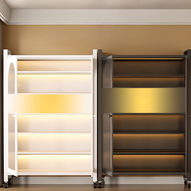 Vertical Steel Shelf Organizer with 6 Shelves and Lucite Door, Closed Back