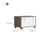 Art Deco Steel Non-flammable Horizontal Filing Cabinet/Vertical Filing Cabinet with Soft Close and Key Lock