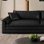 Modish Solid Color Stain Resistant Standard/Single Sofa in Black for 4/3/5 Person with 2 Pillows