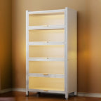 Vertical Alloy Organizing Shelf with Closed Back, Polymer Compound Door and 4-Shelf/5 Shelves/3-Shelf
