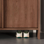 Auburn Modern Engineered Wood 4 Tiers Shoe Console with Shelf, Gate, and Closed Back