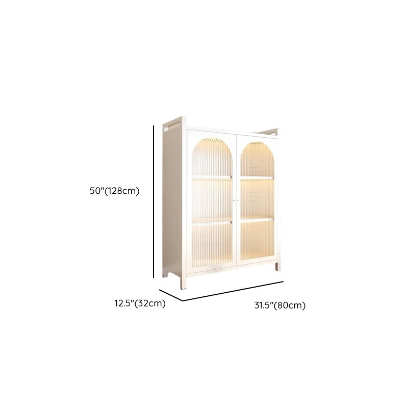 Vertical Steel Shelf Organizer with 6 Shelves and Lucite Door, Closed Back
