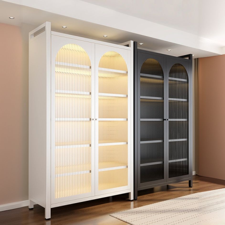 Vertical Steel Shelf Organizer with 6 Shelves and Lucite Door, Closed Back