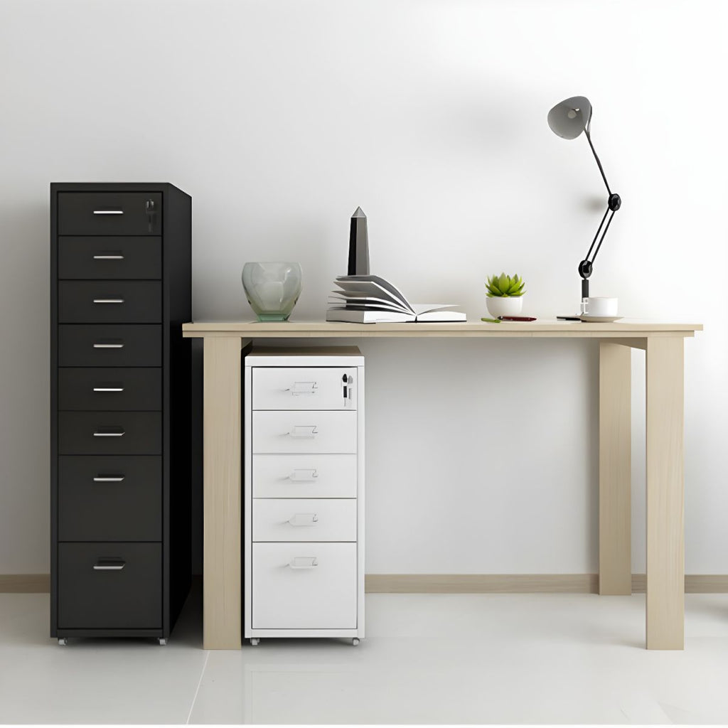 Contemporary File Cabinet Metal Frame Key Lock Lateral File Cabinet