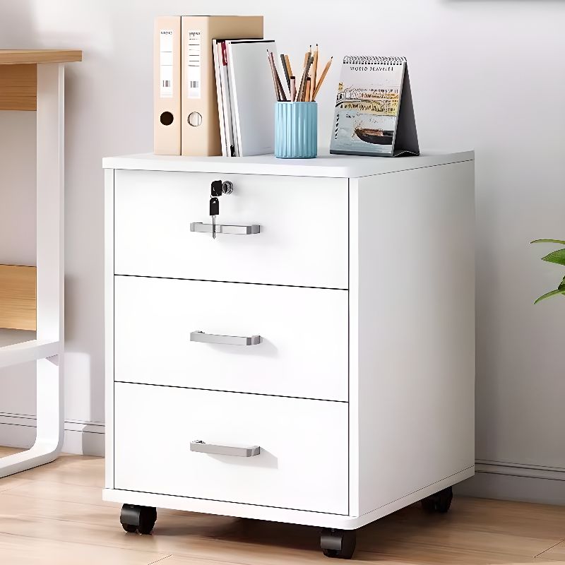 Horizontal Filing Cabinet/Vertical Filing Cabinet in Timber with Soft Close, Key Lock and Roller Wheels in a Casual Style, 2 Shelves/1 Shelf Included/Not Included