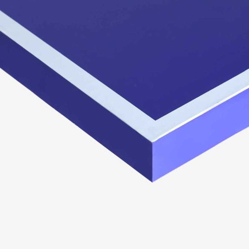 Versatile Indoor and Outdoor Ping Pong Table with Synthetic Laminate Top in Ink/Cerulean