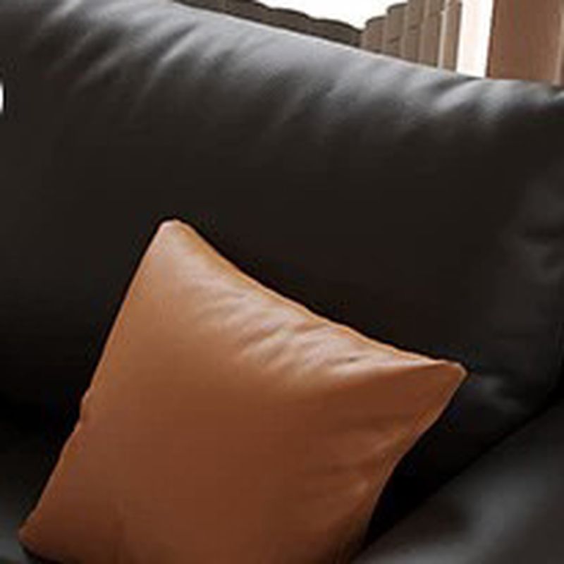 Contemporary Modern Solid Color Stain Resistant Standard Sofa/Loveseat/Single Sofa in Midnight Black with 1-seater/Seats 5/Seats 4 and 2 Pillows