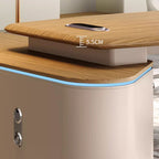 Dust Resistant Desk with 2 Drawers, Cabinet, Stump Base, Exterior Shelf, Cable Management, Wood Color Top, and Cooling Hole