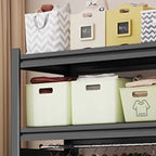 Black Modern Simple Style Coat Tree with Container Storage, 3 Shelves, and Steel Frame