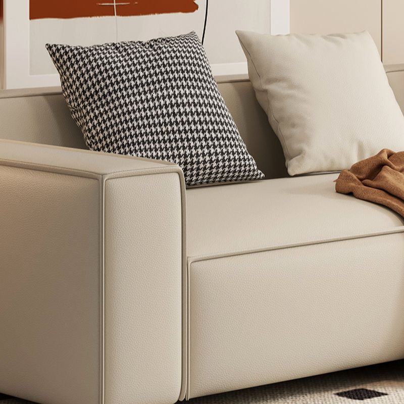 Drawing Room Standard Sofa in Dark Gray/Coffee/Off-White with Armrest and 4 Pillows