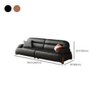 Modern Solid Color Scratch-defiant Standard Sofa in Black/Auburn, Seats 2 with 2 Pillows