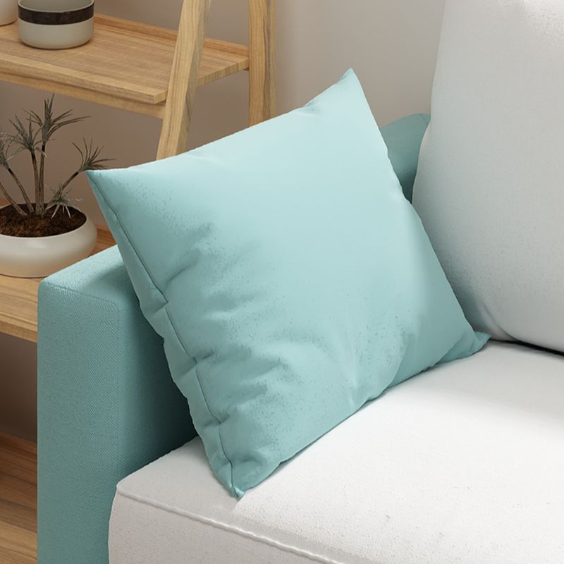 Scratch-immune Loveseat with Arm, Seating for 2, Receptacle Storage, Slipcover, and 2 Pillows