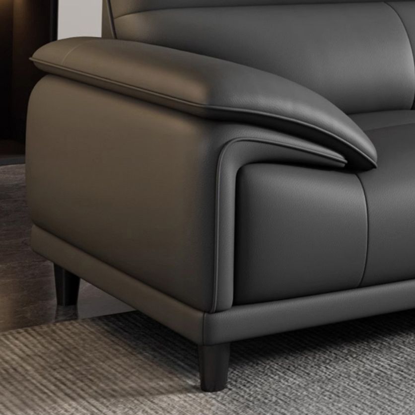 Contemporary Modern Solid Color Tear Resistant Standard Sofa/Loveseat in Ink with 4-seater/3/2 People and 2 Pillows