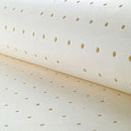 Beige Standard Sofa with Arm and 4 Pillows