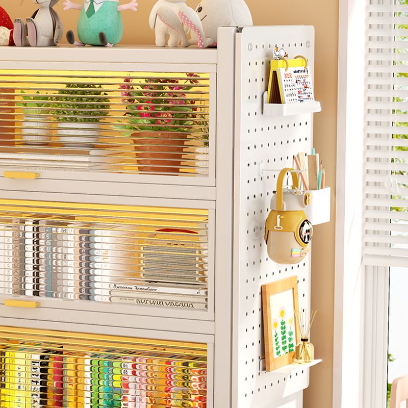 Steel Vertical/Horizontal Shelf Organizer with 6 Shelves and Lucite Door, Closed Back