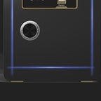 Steel Security Safe with Battery, Lockable with Keys and Shelves