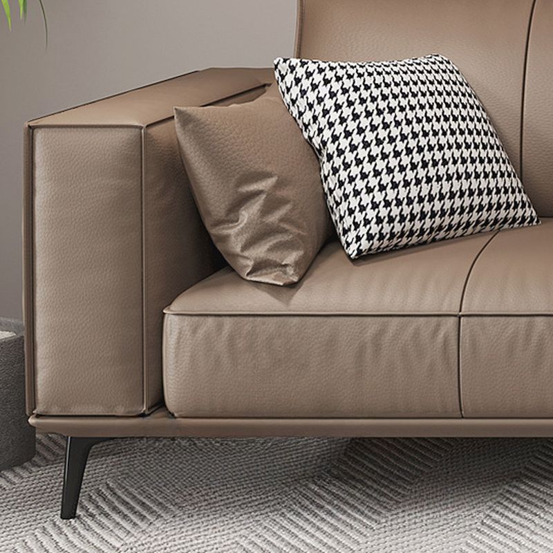 Standard Sofa in Sepia with Arm and 5 Pillows/1 Pillow
