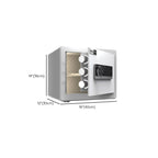 Steel Security Safe with Battery, Pry Resistant, Lockable, Keys, Interior Lining, and Shelves