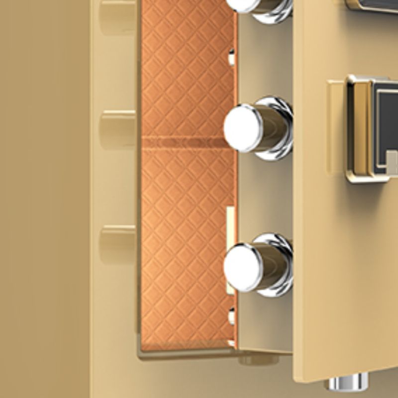 Steel Security Safe with Battery, Pry Resistant, Lockable, Keys, Interior, and Shelves