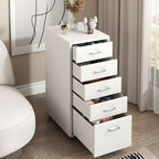 Modern Mobile Key Locking Filing Cabinet with Drawers in Metal Frame