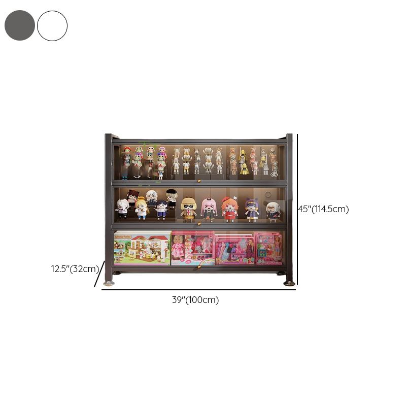 Organizer Shelf with 6-Shelf in Steel, Vertical/Lateral Filing, Transparent Glass Door, Closed Back