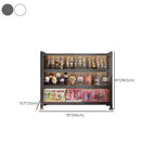 Organizer Shelf with 6-Shelf in Steel, Vertical/Lateral Filing, Transparent Glass Door, Closed Back
