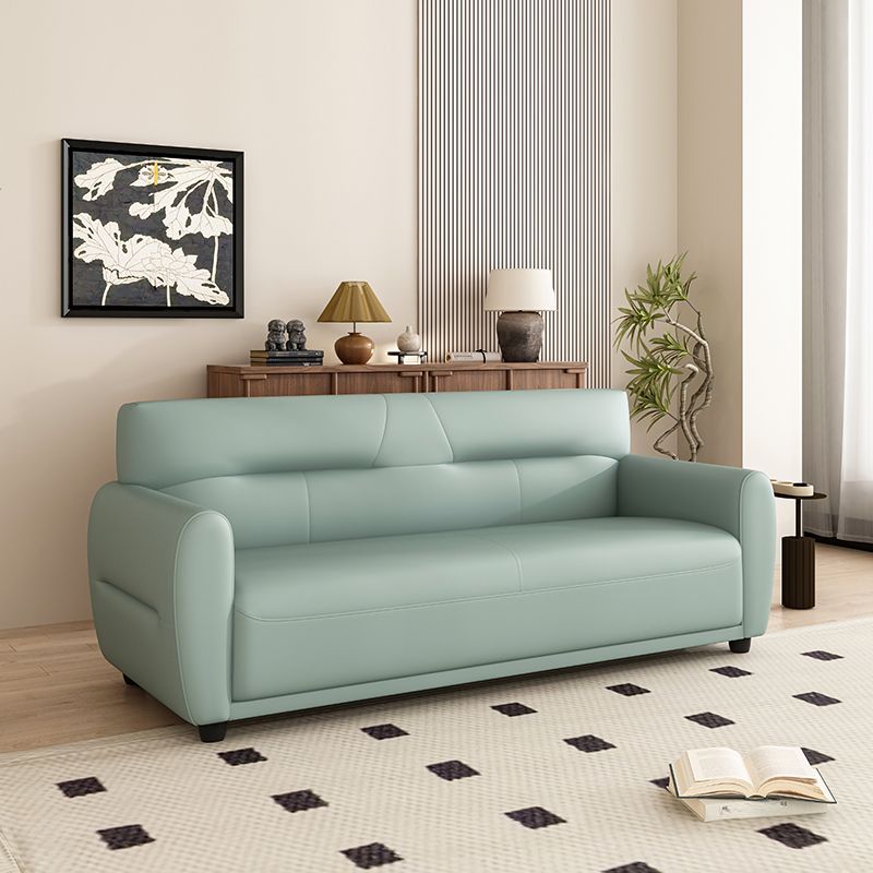 Dark Gray/Sage/Off-White Standard Sofa with Armrest for Drawing Room