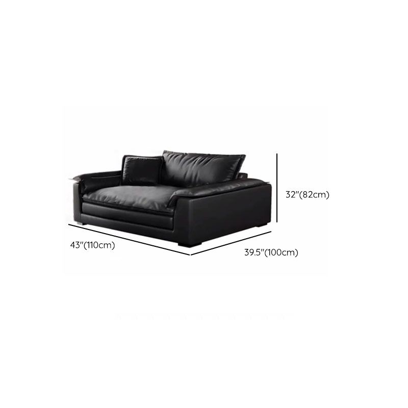 Modish Solid Color Stain Resistant Standard/Single Sofa in Black for 4/3/5 Person with 2 Pillows