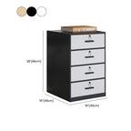 Modern Lockable Wood Filing Cabinet with Key Lock & Drawer / Cabinet