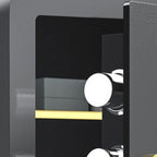 Steel Security Safe with Battery, Pry Resistant, Lockable with Keys and Shelves