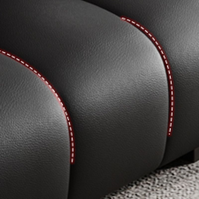 Tear Resistant Black Standard/Single Sofa with Arm and 3/1 Pillows