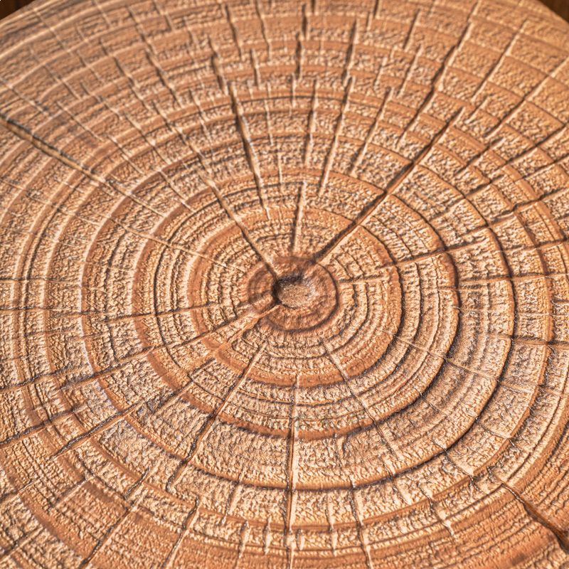 Natural Finish Square Plant Table with Natural Wood Top