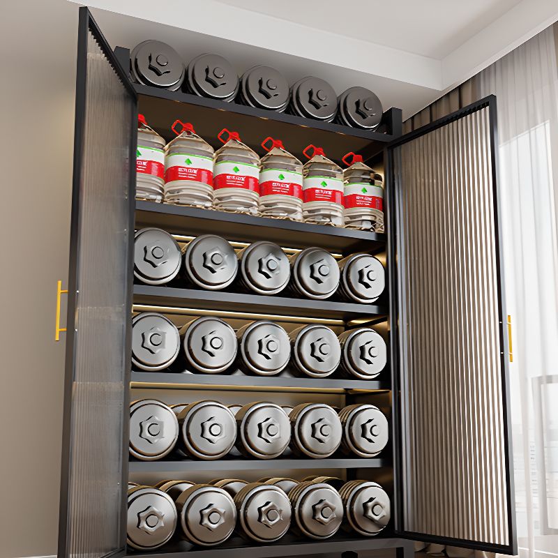 Vertical Steel Shelf Organizer with 6 Shelves and Lucite Door, Closed Back