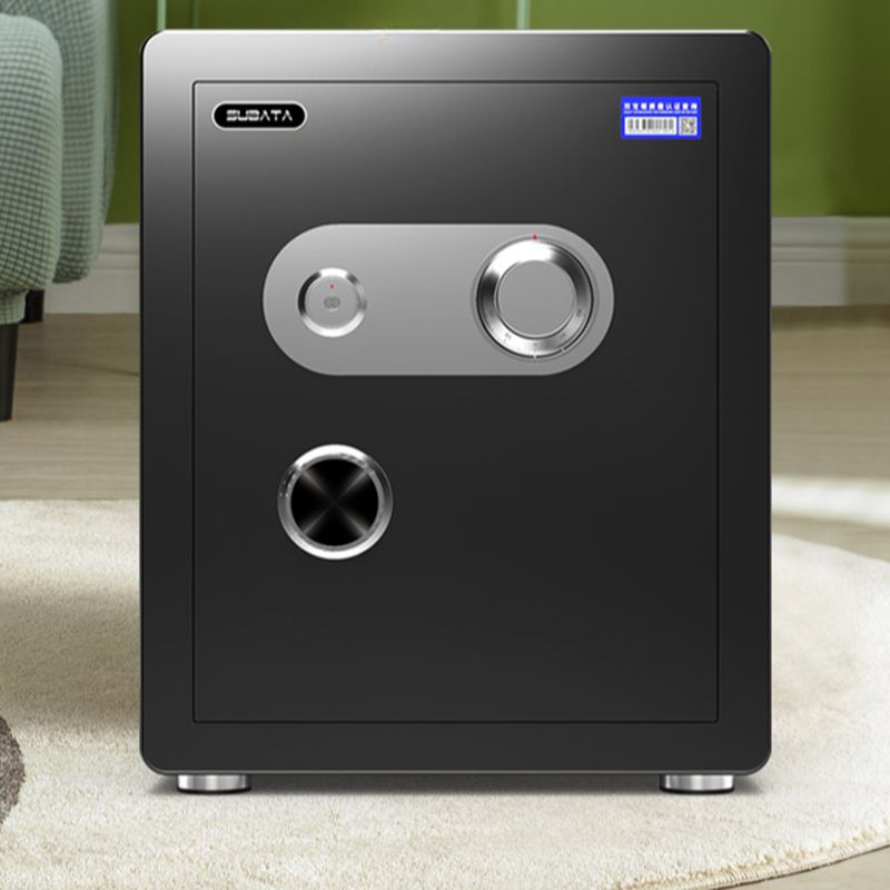Steel Pry Resistant Security Safe with Lockable Keys, Interior Lining, and Shelves