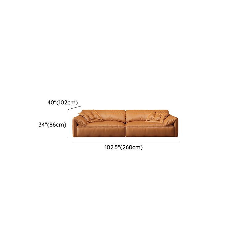 Modish Solid Color Water Resistant Standard Sofa/Single Sofa in Light Brown with 4-seater/5 Person/1 Person Capacity and 2 Pillows/1 Pillow