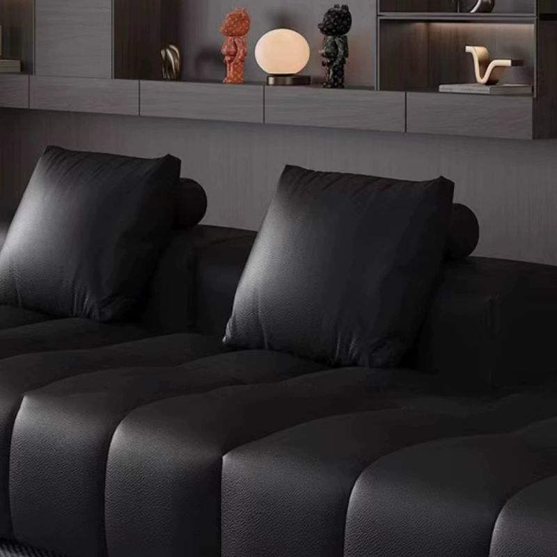 Tear Resistant Standard Sofa/Loveseat/Single Sofa in Midnight Black Genuine Leather