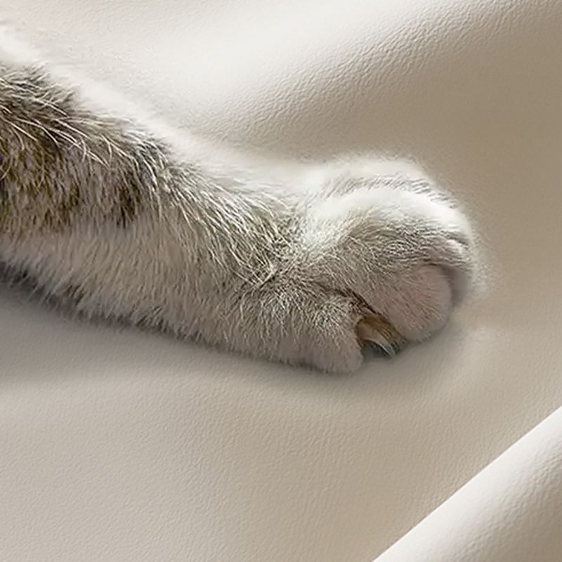 Trendy Solid Color Scratch-immune Convertible Sofa in Grey/Cerulean/Light Green with Arm, Seats 3/4-seater/2 People, and 2 Pillows