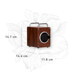Modern black walnut watch winder for automatic watches