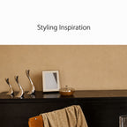 Decorative storage box in a styled interior